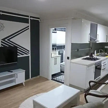 Besiktas Merkez Appartement Istambul